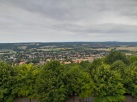 Breitenholzi vend�geink