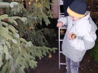 Kar�csonyfa feld�sz�t�s 2025
