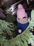 Kar�csonyfa feld�sz�t�s 2025