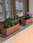 Tavaszi vir�gos�t�s