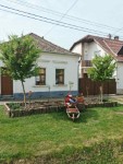 Tavaszi vir�gos�t�s
