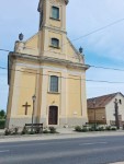 Tavaszi vir�gos�t�s