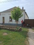 Tavaszi vir�gos�t�s