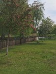 Tavaszi vir�gos�t�s