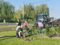 M�jusfa�ll�t�s 2025