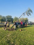 M�jusfa�ll�t�s 2025