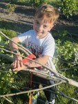 M�jusfa�ll�t�s 2025