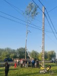 M�jusfa�ll�t�s 2025