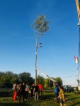 M�jusfa�ll�t�s 2025