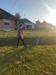 M�jusfa�ll�t�s 2025