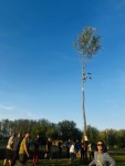 M�jusfa�ll�t�s 2025