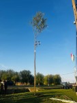 M�jusfa�ll�t�s 2025