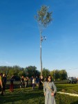 M�jusfa�ll�t�s 2025