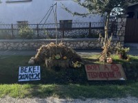 Sz�reti d�sz�t�s 2024.