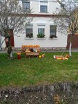 Sz�reti d�sz�t�s 2025.