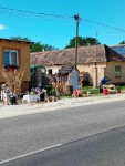 Sz�reti d�sz�t�s 2025.