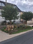 Sz�reti d�sz�t�s 2026.