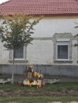 Sz�reti d�sz�t�s 2026.