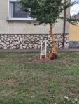Sz�reti d�sz�t�s 2026.
