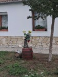 Sz�reti d�sz�t�s 2026.